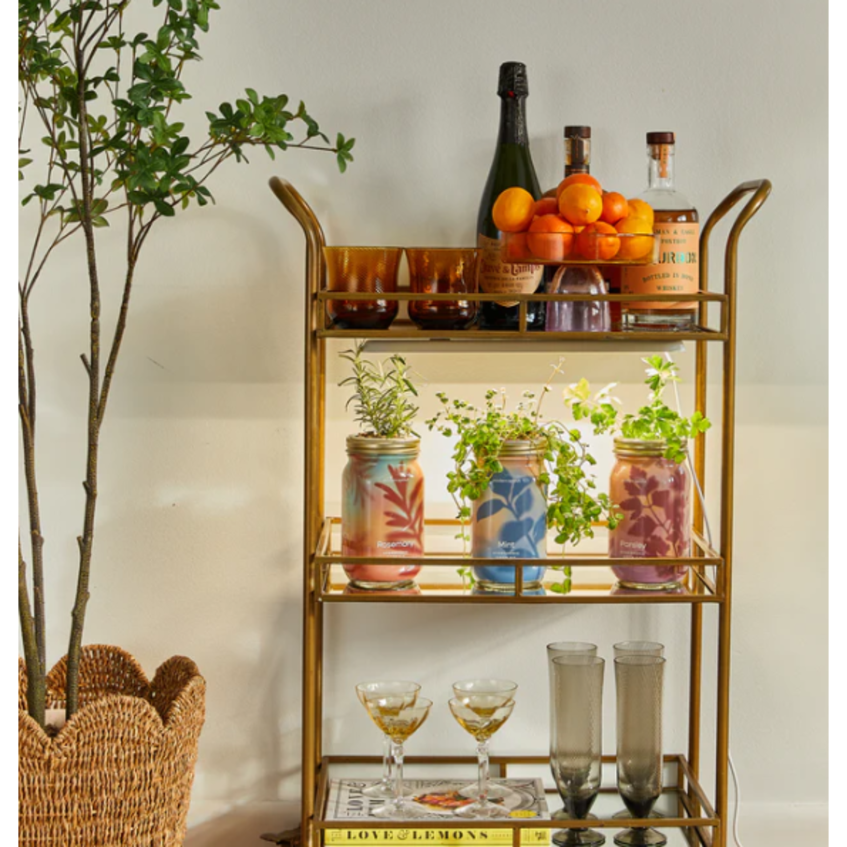 Garden Jar - Lavender