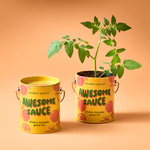 Awesome Sauce - Cherry Tomato Grow Kit