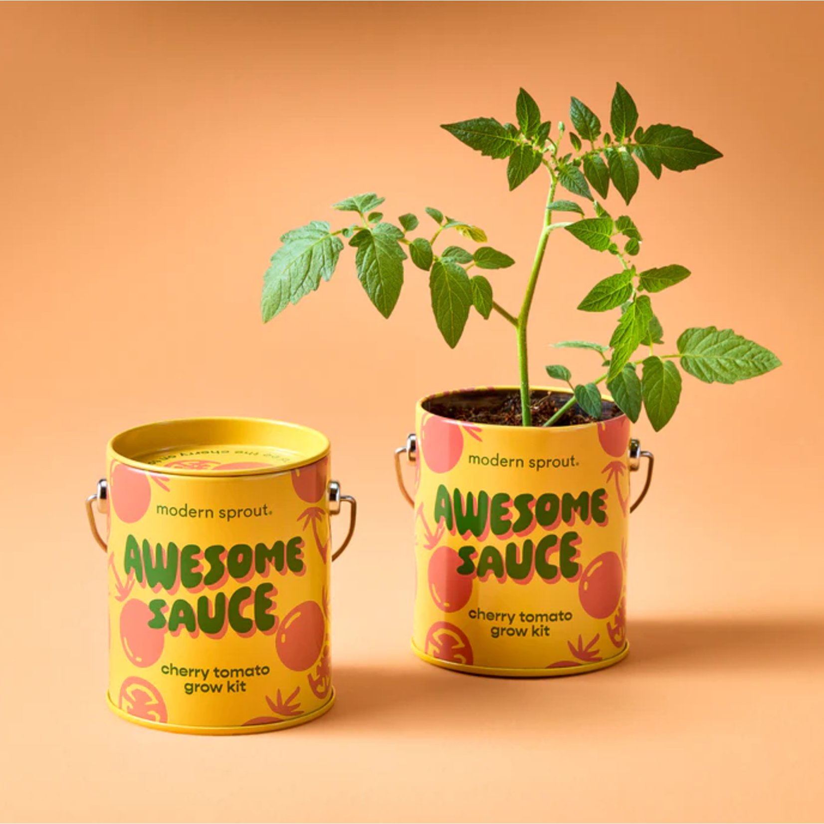 Awesome Sauce - Cherry Tomato Grow Kit