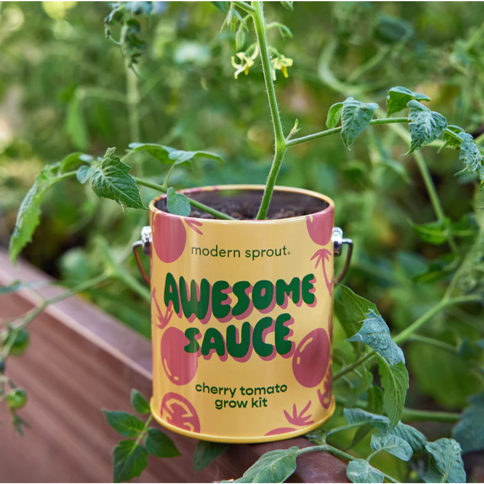 Awesome Sauce - Cherry Tomato Grow Kit