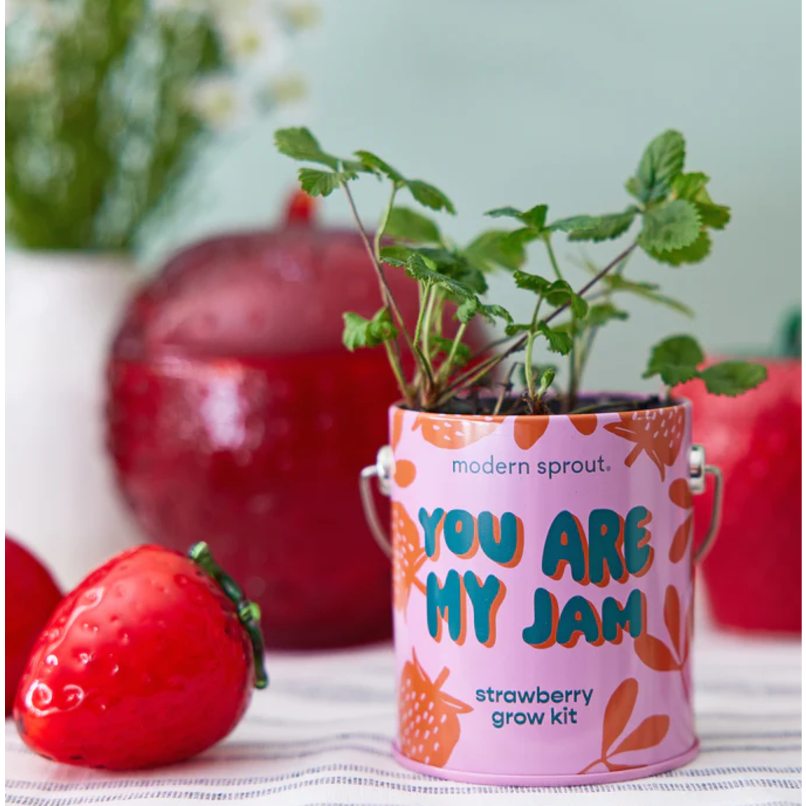 You are My Jam - Strawberry Grow Kit