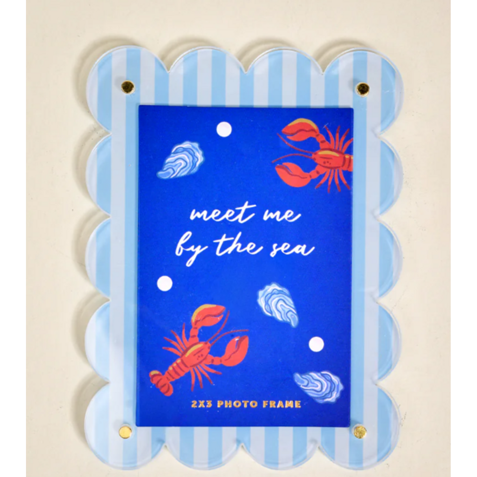 The Darling Effect Mini Acrylic Picture Frame Magnet