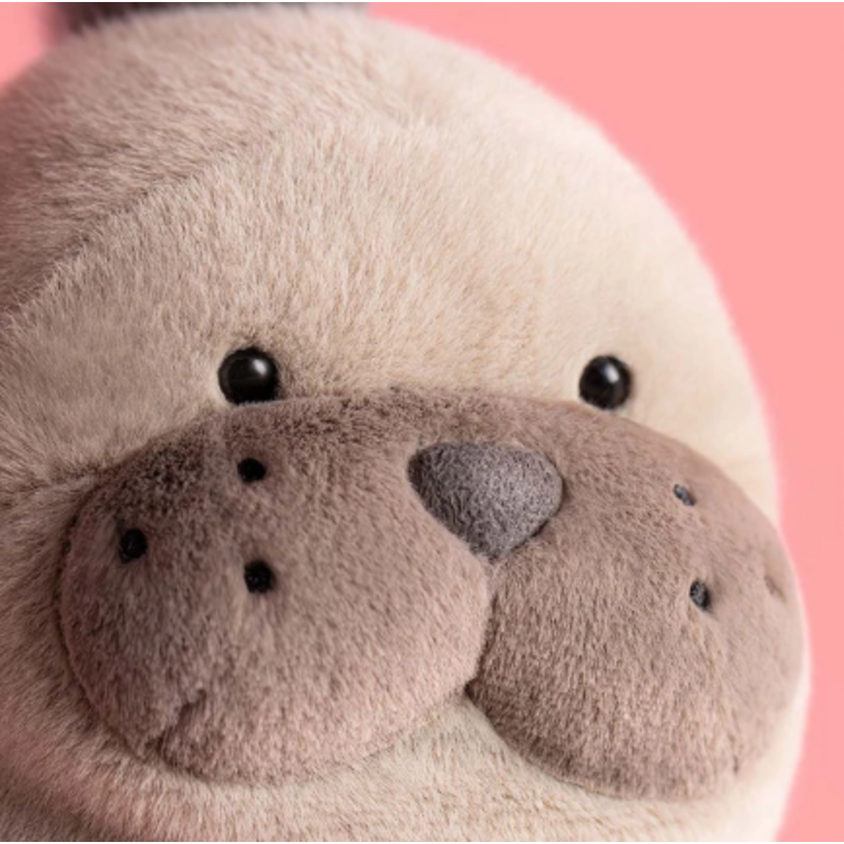 Jellycat Roarwell Sea Lion