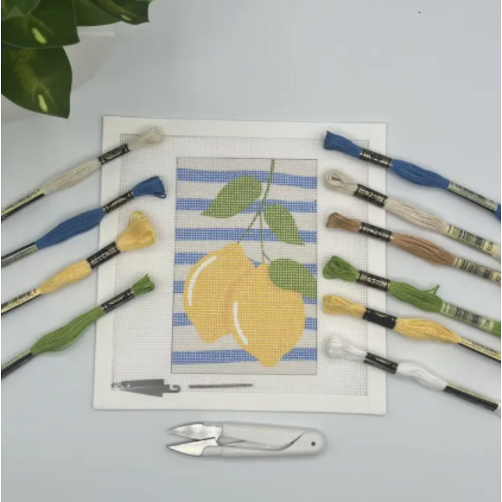 Blue Poppy Designs Two Lemons Needlepoint Kit