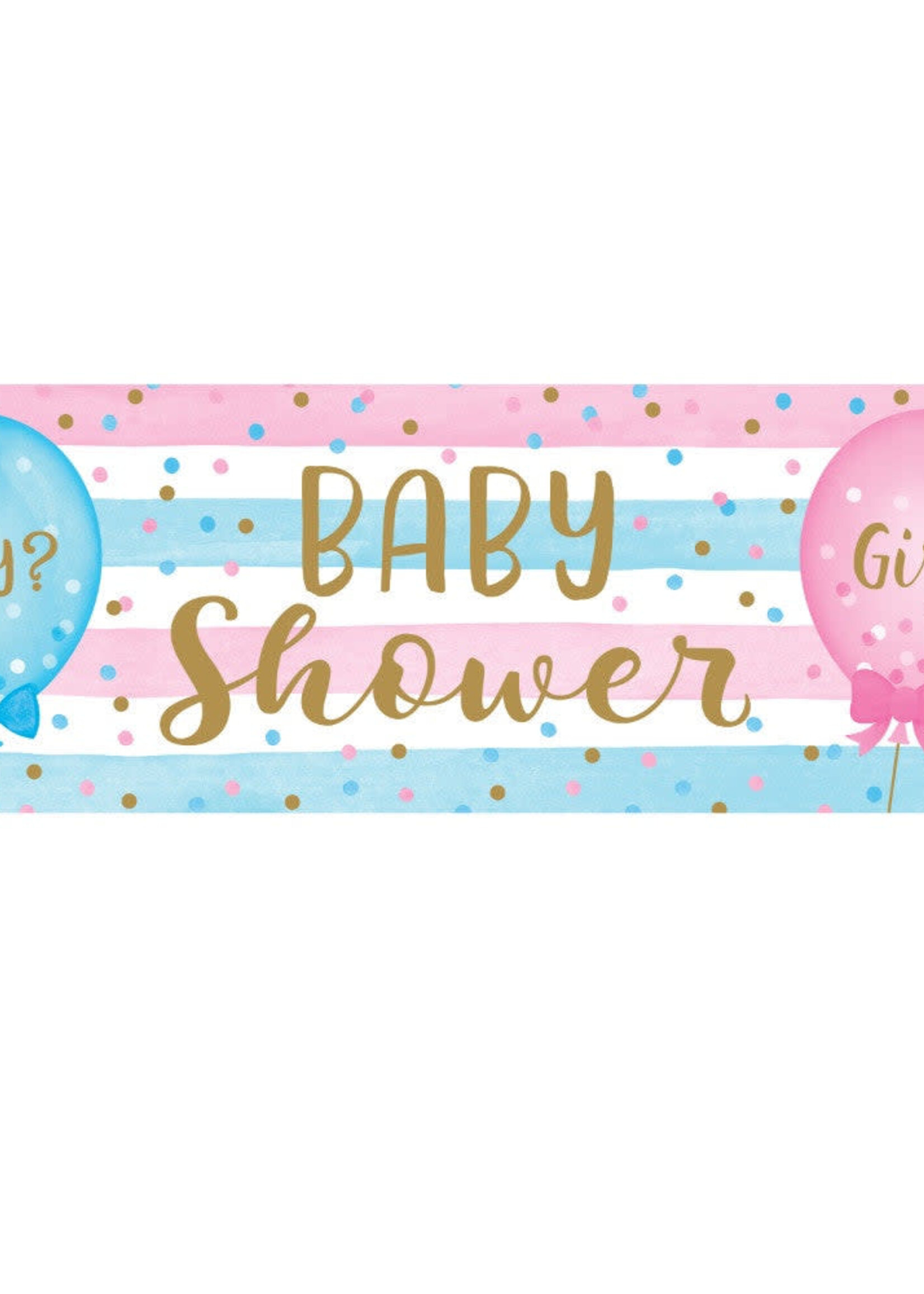 BANNER 1CT GENDER REVEAL