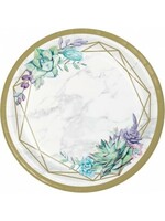 PLATE 8CT GEOMETRIC SUCCULENTS