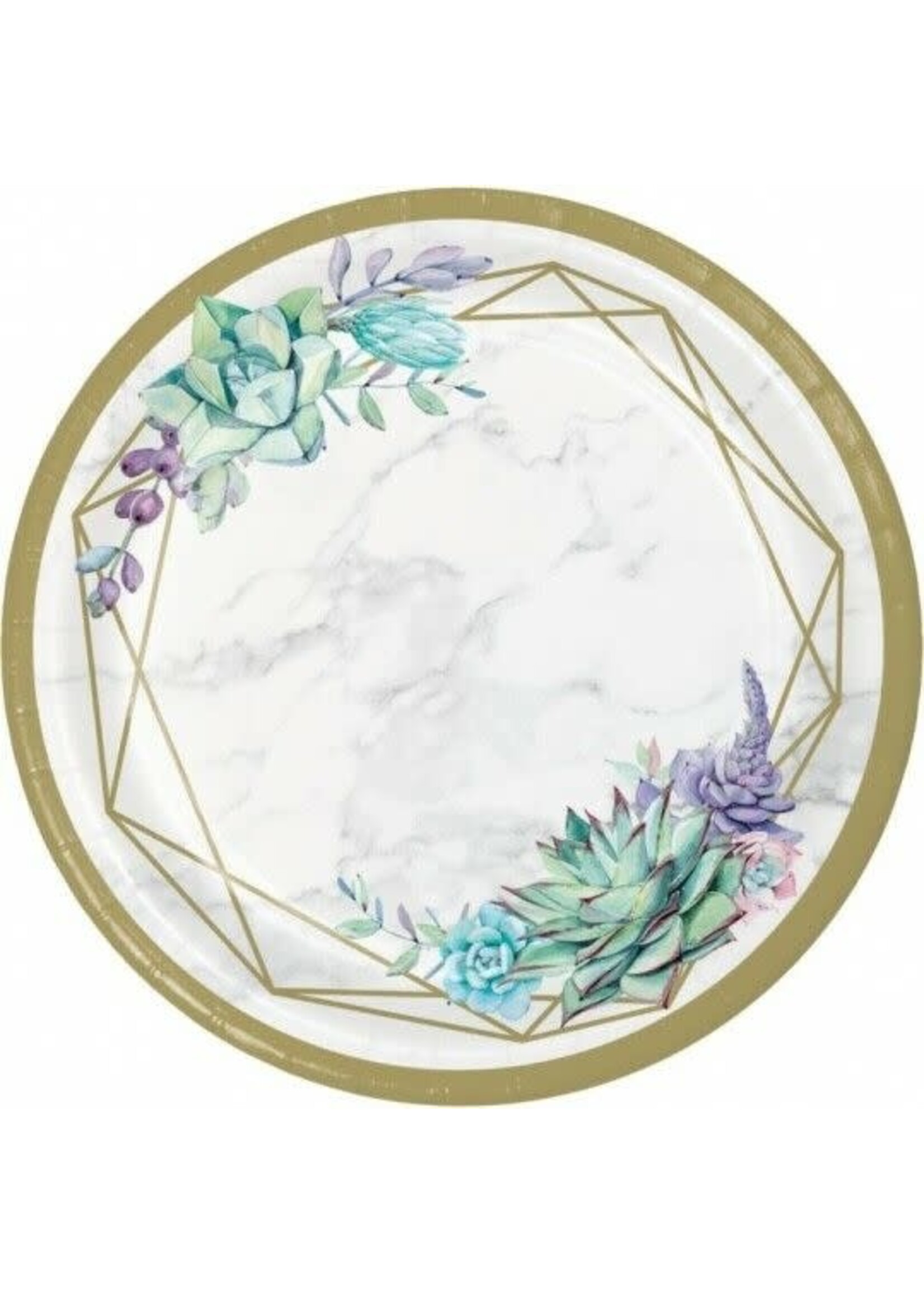PLATE 8CT GEOMETRIC SUCCULENTS
