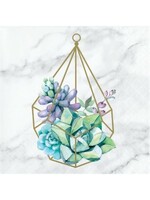NAPKIN 16CT GEOMETRIC SUCCULENTS
