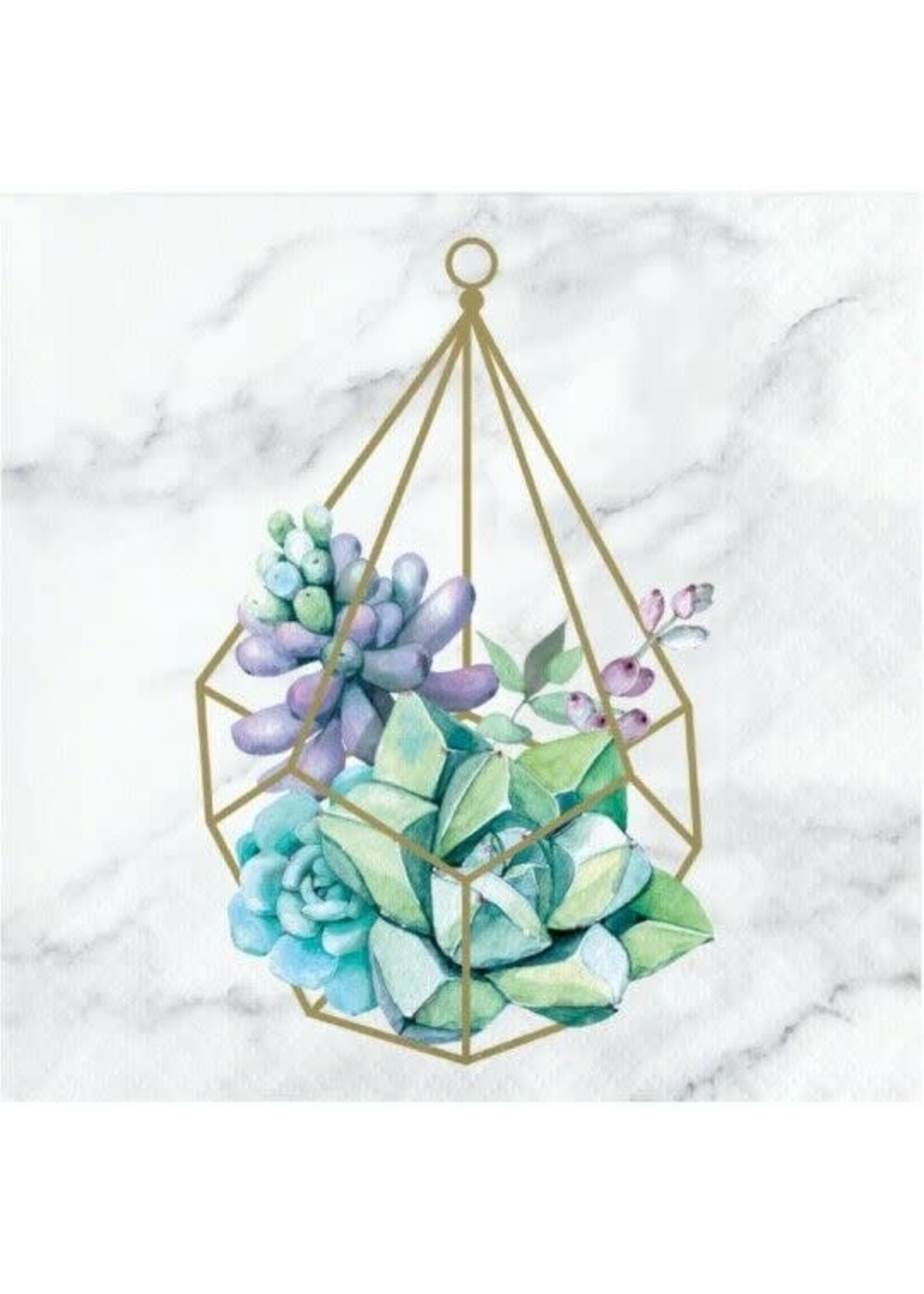 NAPKIN 16CT GEOMETRIC SUCCULENTS