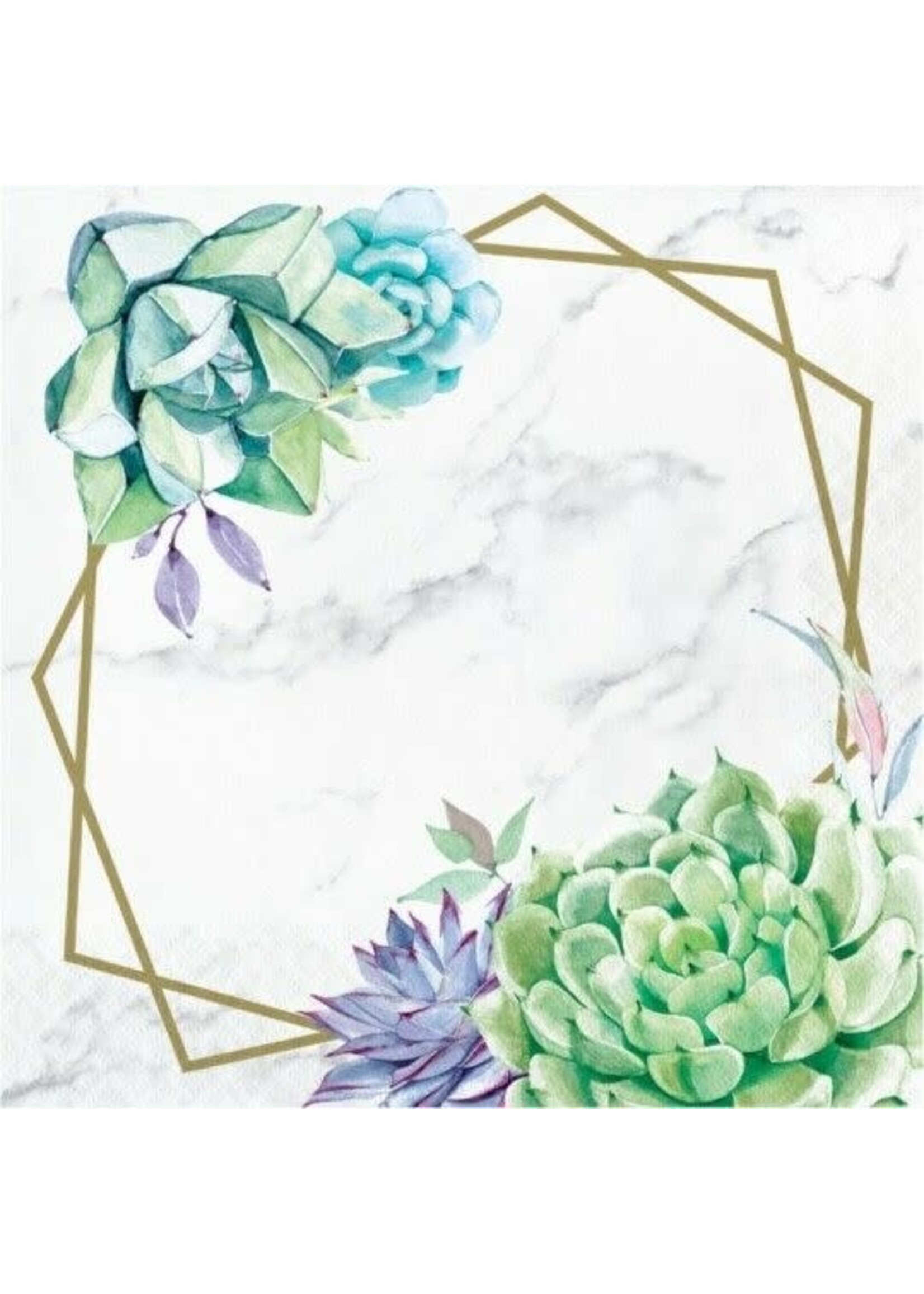 NAPKIN 16CT GEOMETRIC SUCCULENTS