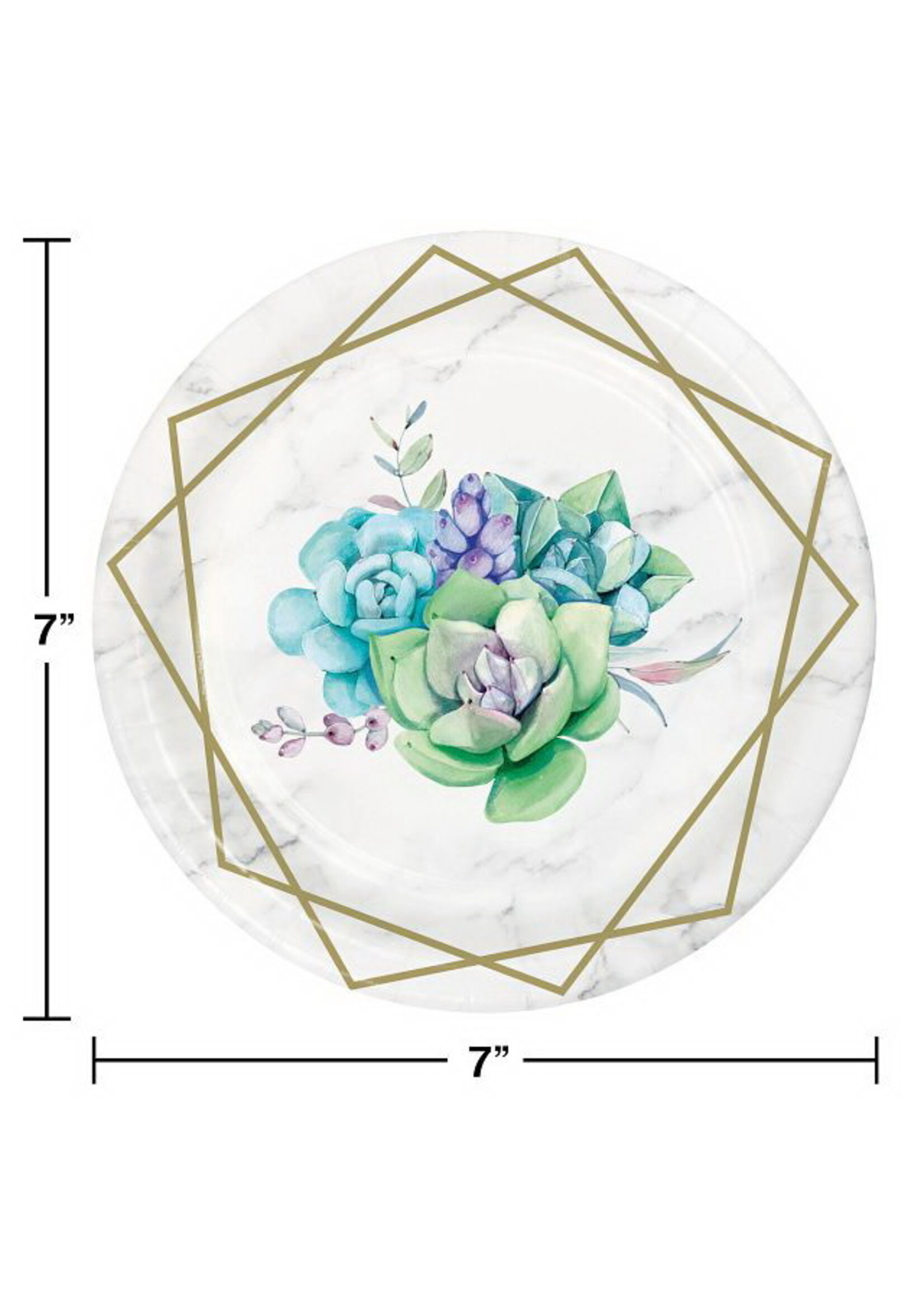 PLATE 8CT GEOMETRIC SUCCULENTS