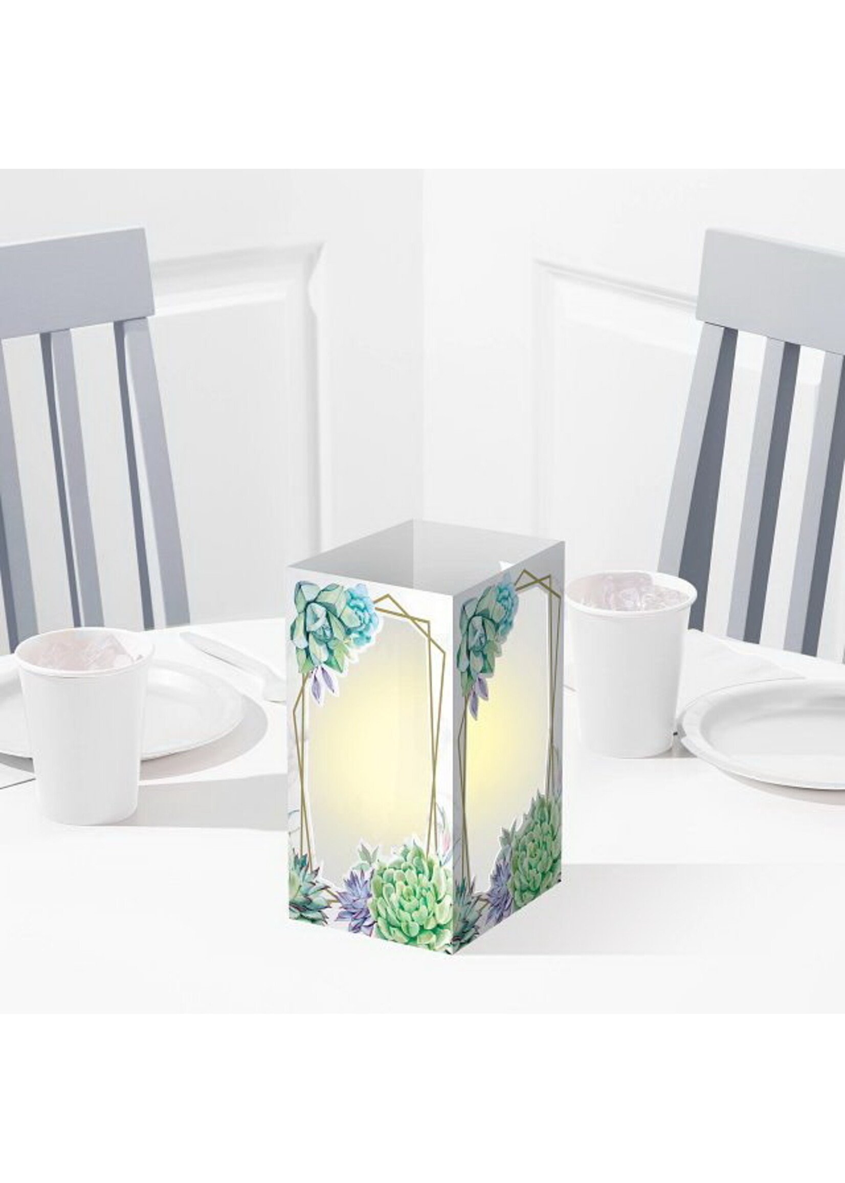 CENTERPIECE LANTERN 1CT GEOMETRIC SUCCULENTS
