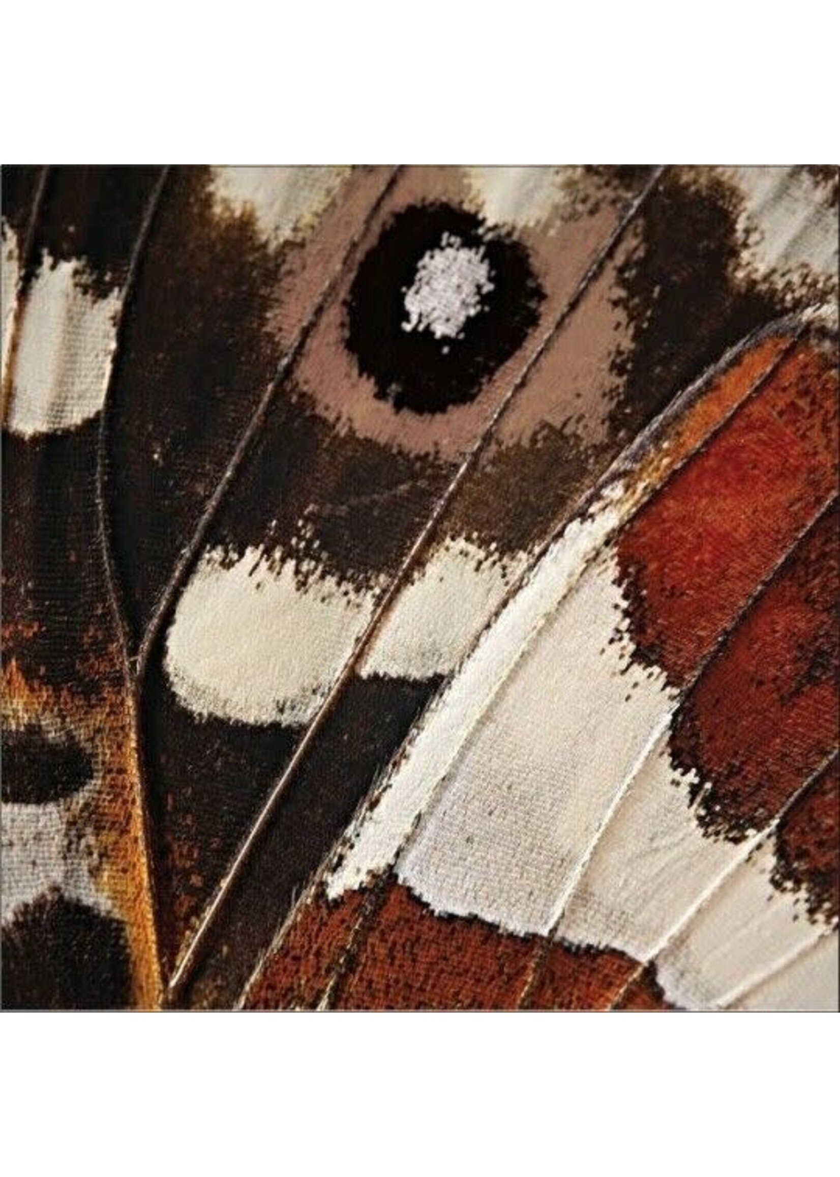 LUNCH NAPKIN 16CT 3P ENTOMOUNT WING