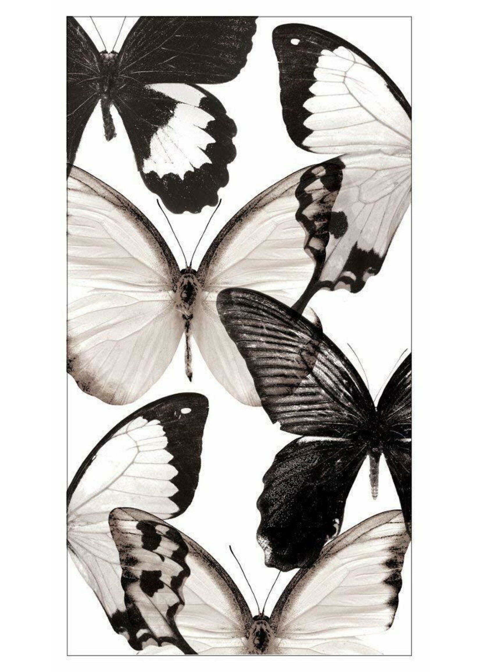 GUEST NAPKIN 16CT ENTOMOUNT GOSSMR