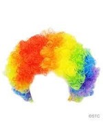 CLOWN WIG