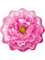 Pink Peony