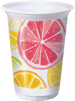 16OZ TUMBLER PLASTIC /8CT CITRUS SLICES