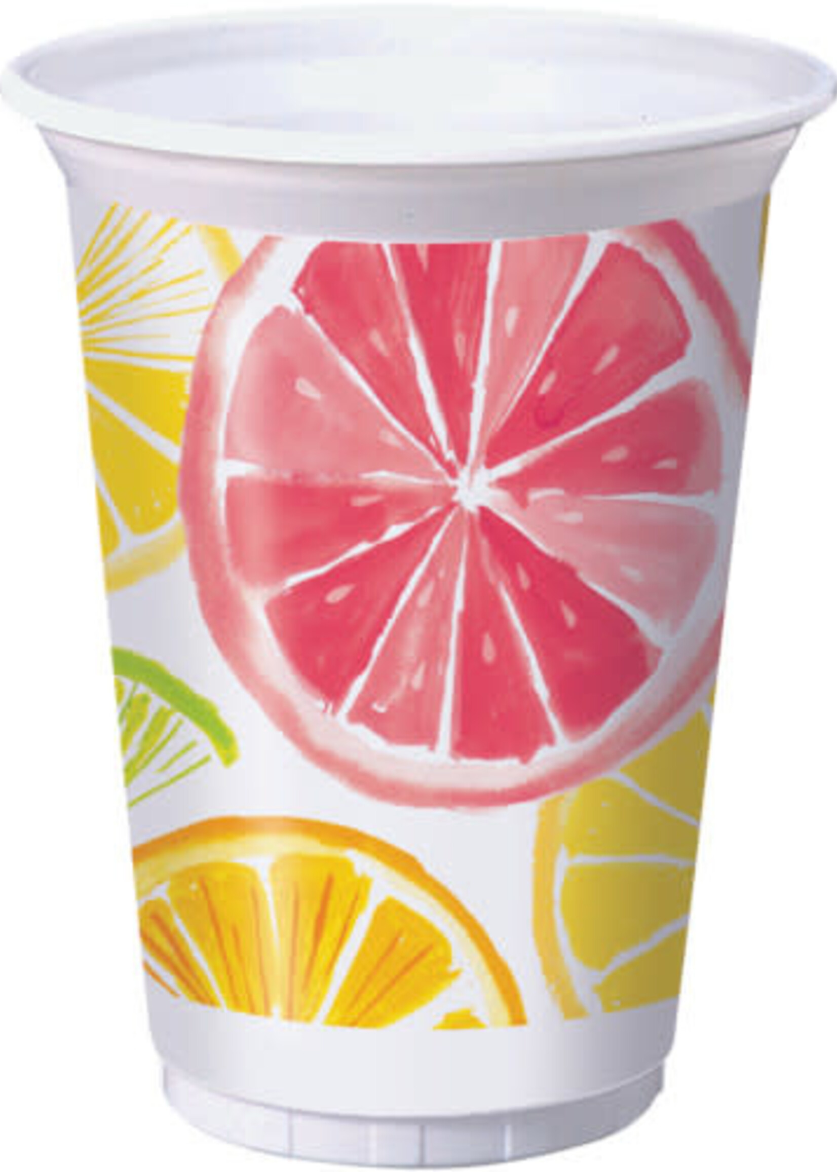 16OZ TUMBLER PLASTIC /8CT CITRUS SLICES