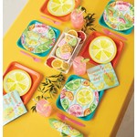 Citrus Slices