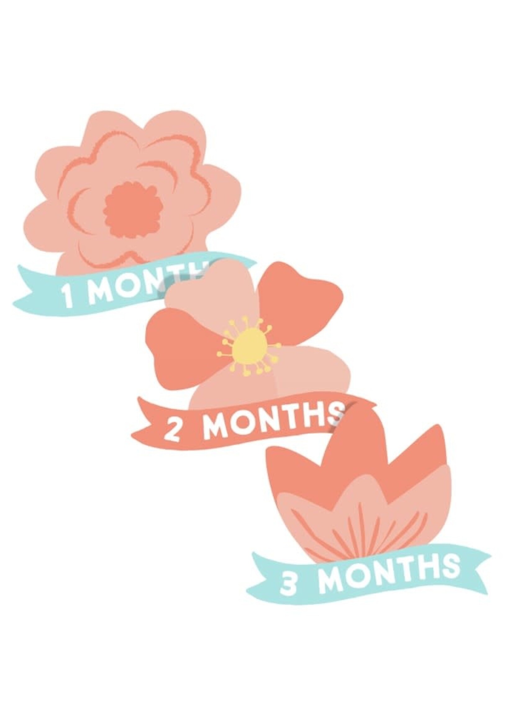 Watch Me Grow Milestone Blanket, Floral