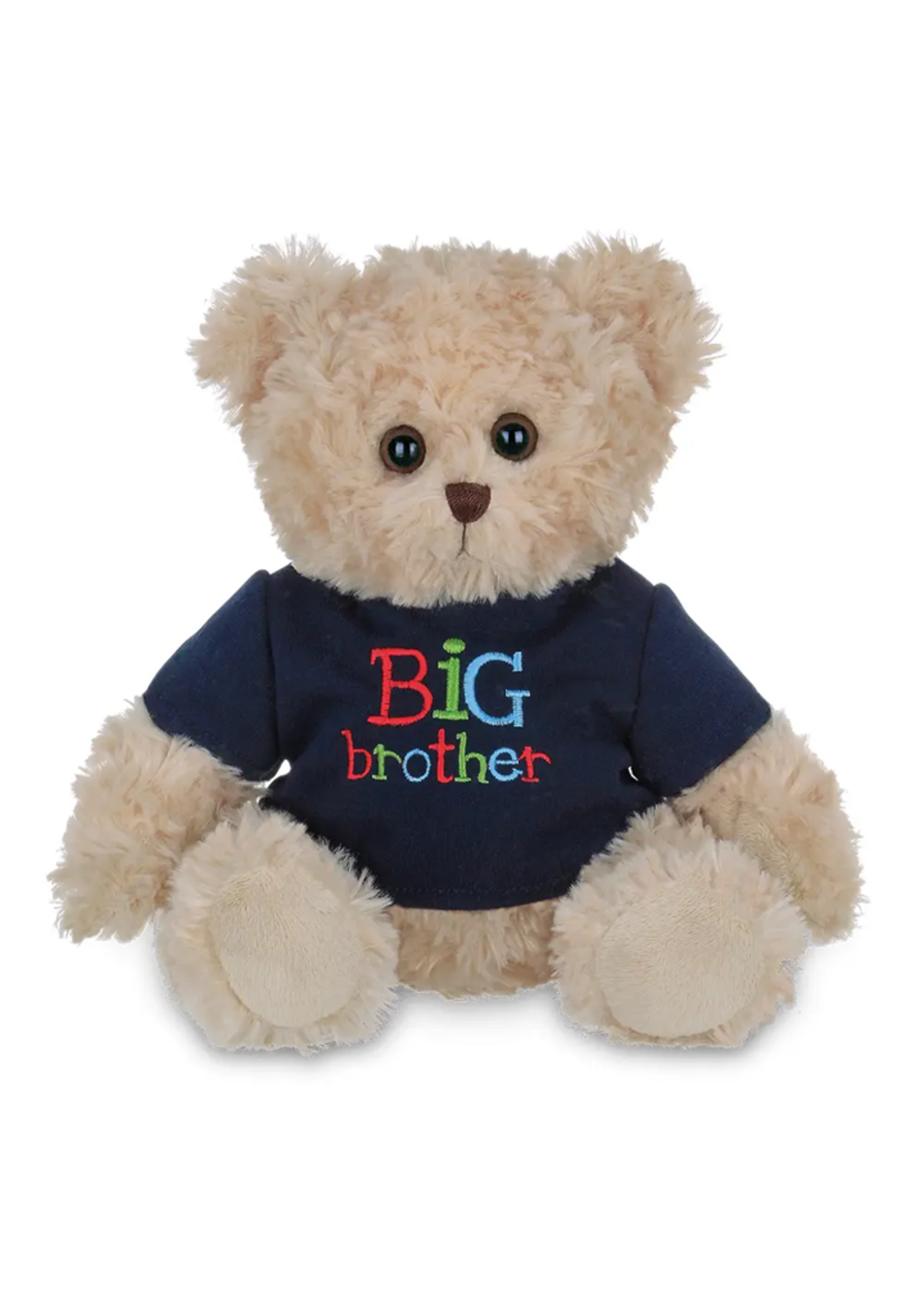 Big Buddy Big Brother Bear