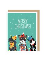 Holiday Pets with Christmas Lights