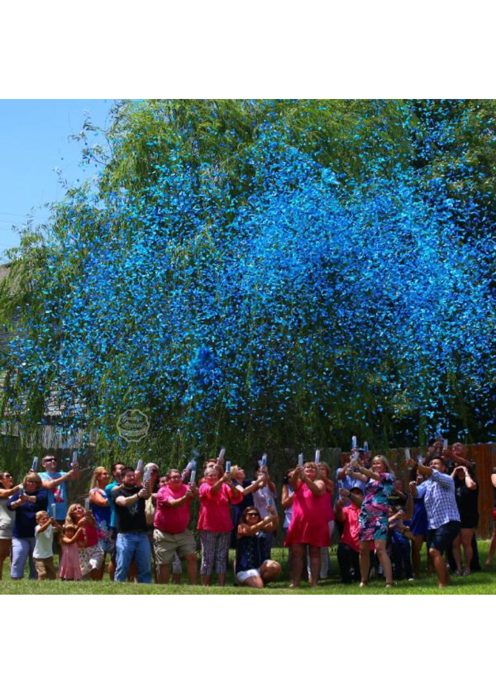Gender reveal confetti 1