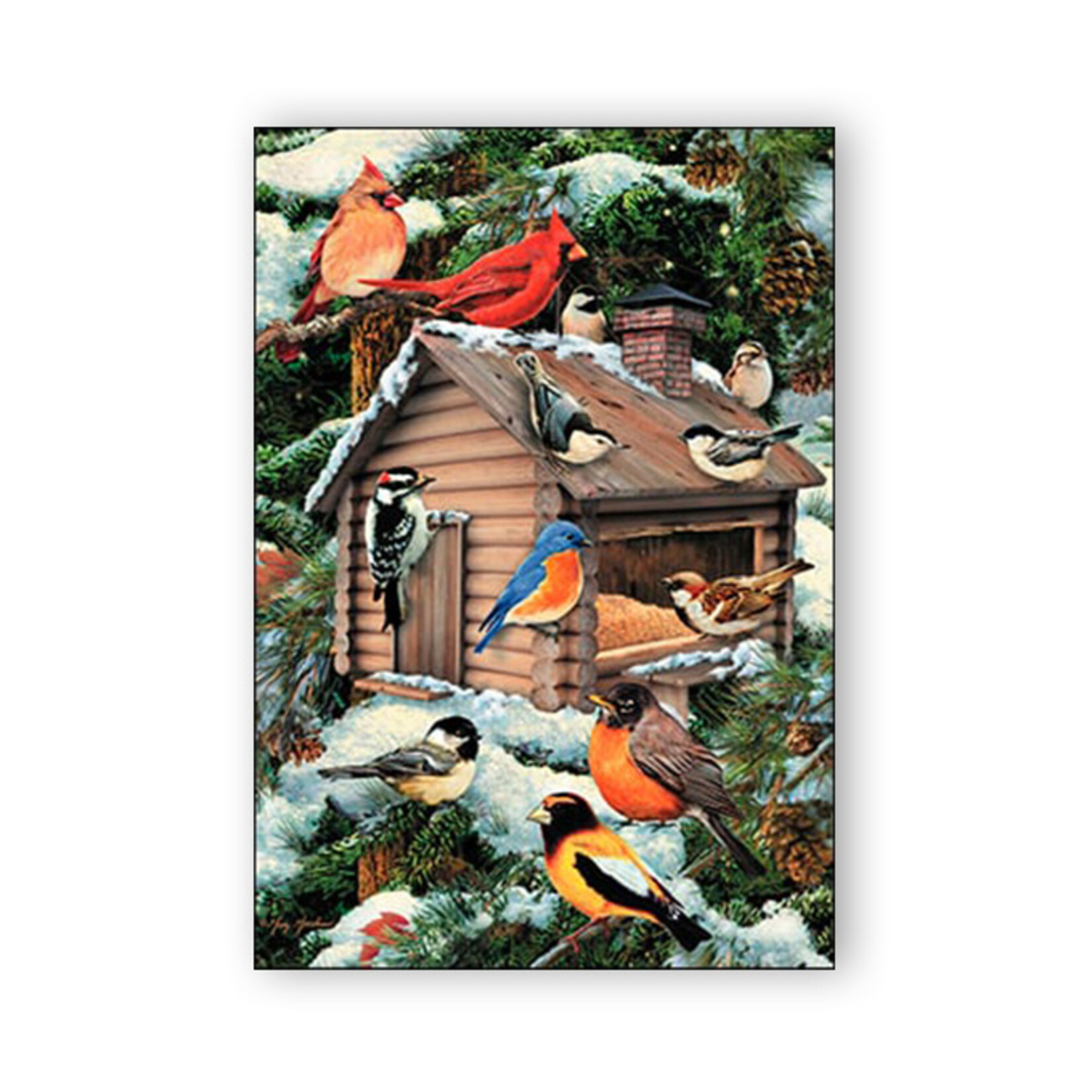 Boxed Card Assortment - Holiday Songbirds