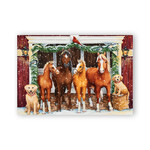 Boxed Cards - Golden Labradors and Horses