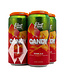 Elm Creek Elm Creek Rare Candy Peach Mango Watermelon Sour Ale 4pk 16oz