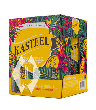 Kasteel Tropical Exotic Fruit Ale 500ml 4pk