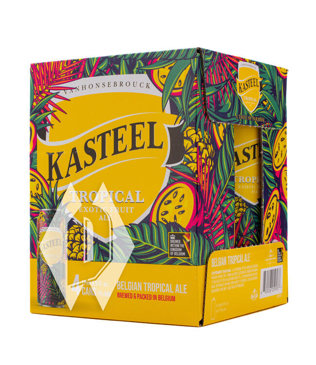 Kasteel Tropical Exotic Fruit Ale 500ml 4pk