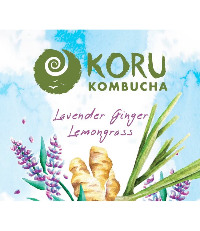 Koru Lavender Ginger Lemongrass Kombucha 16oz Single