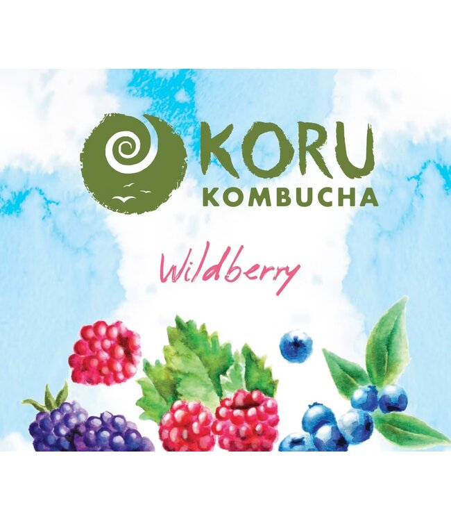 Koru Wildberry Kombucha 16oz Single