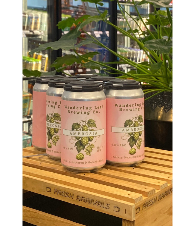 Wandering Leaf Ambrosia Hazy IPA 12oz 6pk