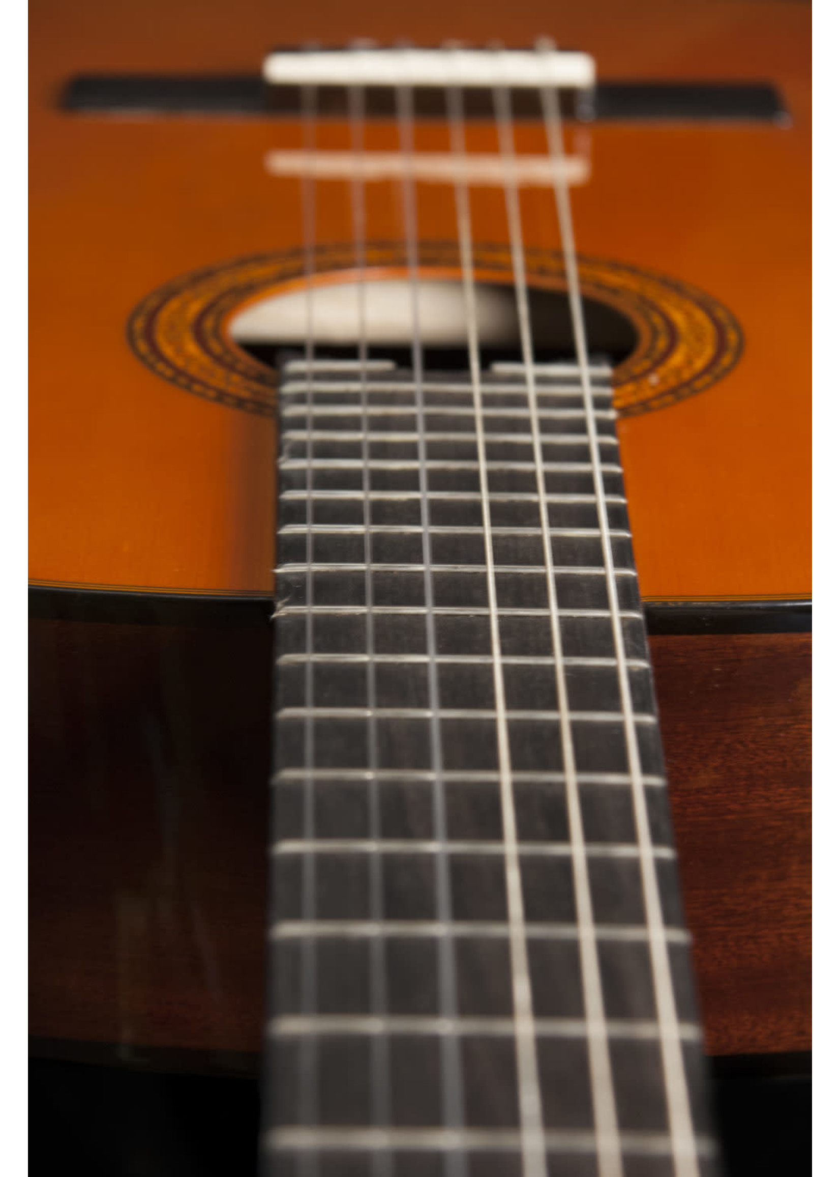 Washburn Washburn C5-WSH-A Classical Acoustic Guitar, Natural