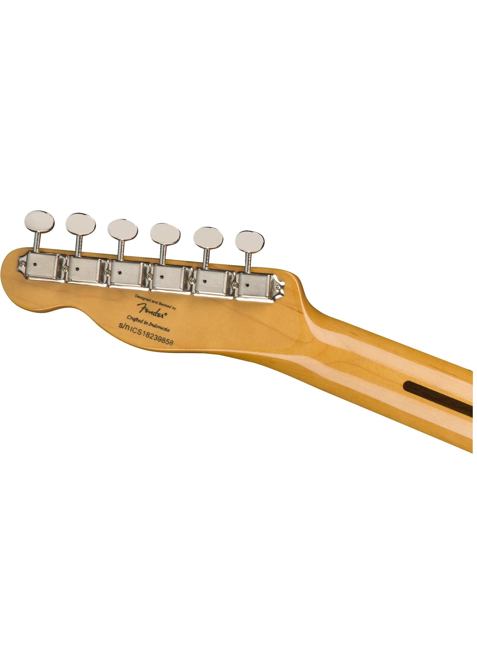Fender Fender Classic Vibe '70s Telecaster Custom Blk Maple neck