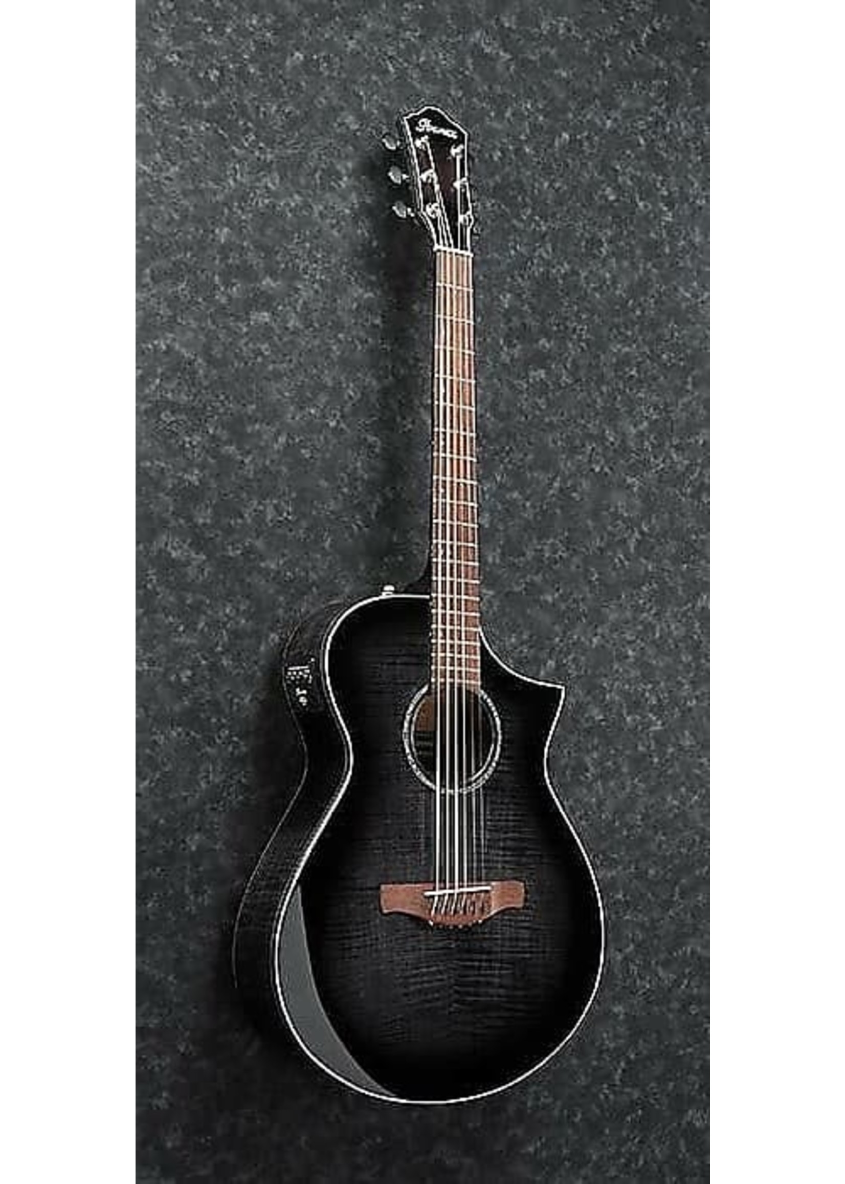 Ibanez Acoustic Electric Guitar Ph 