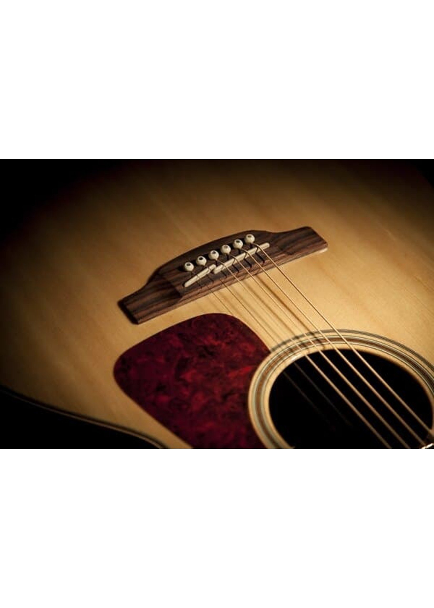 Takamine Takamine GN93CE NAT NEX Cutaway A/E Guitar, Natural