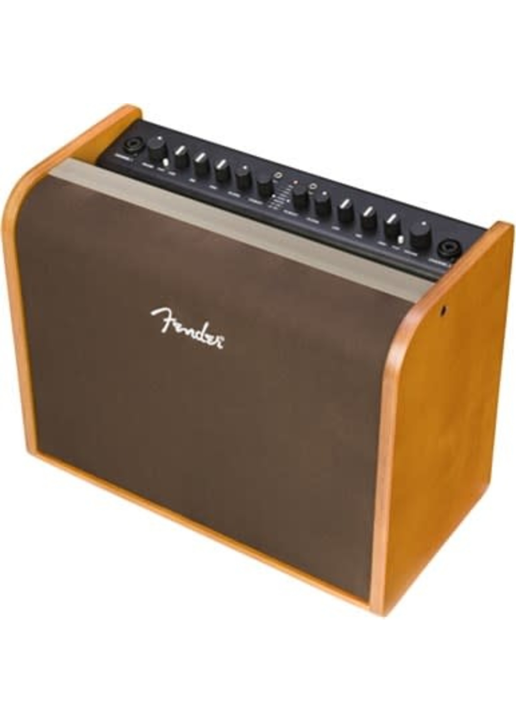 Fender Fender 2314000000 Acoustic 100 Amplifier, 120V