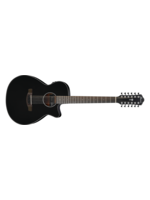 Ibanez Ibanez AEG5012BK 12-String Acoustic-Electric Guitar, Black