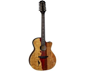 ギター LUNA GUITARS VISTA EAGLE Vista Eagle A/E with Hardshell Case | Luna Guitars