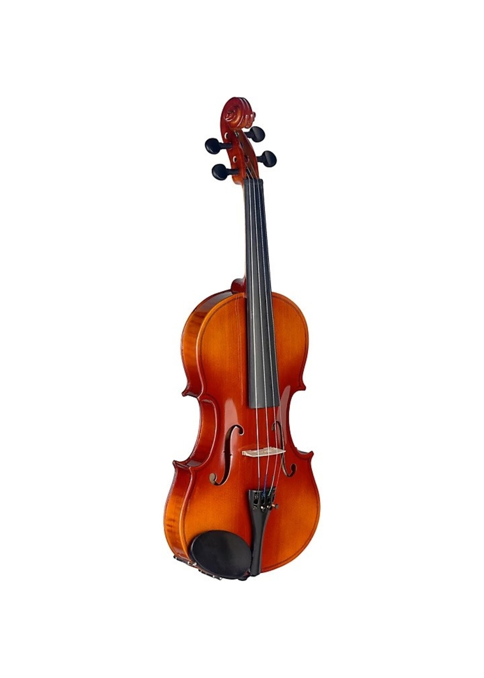 Stagg Stagg VN-4/4 L Maple Violin with Shaped Soft Case Bow and Rosin 4/4 Outfit