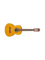 Ibanez Ibanez GA2OAM Classical Acoustic 3/4 Sized Guitar - Open Pore Amber