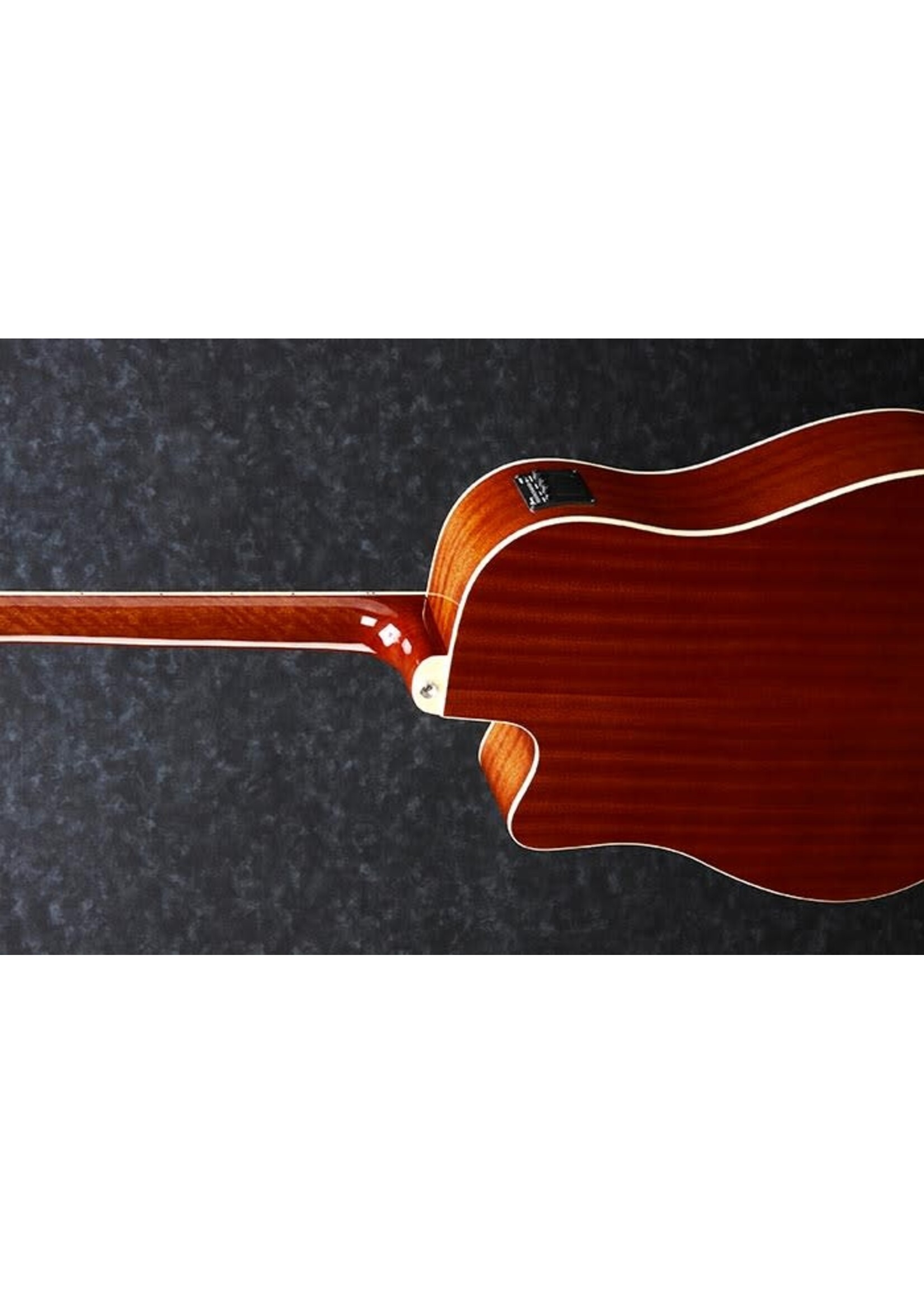 Ibanez Ibanez PF15ECENT Cutaway Acoustic/Electric - Natural