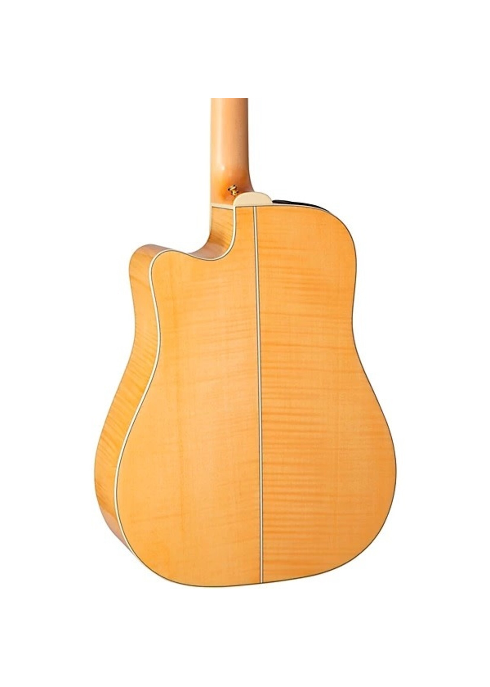 Takamine Takamine GD74CE12U NAT 12 String Elec/Acoustic w/Gig Bag - Natural