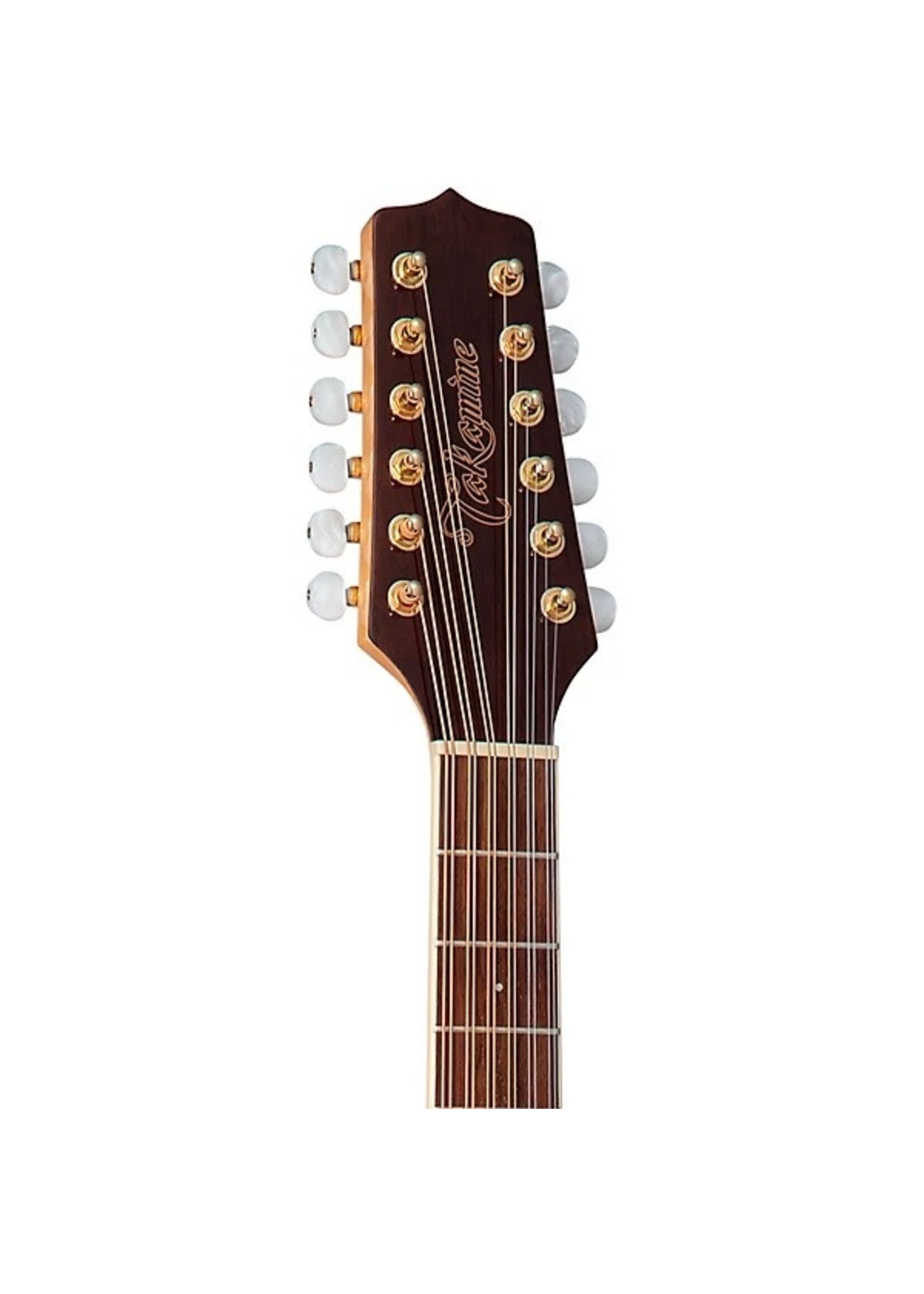 Takamine Takamine GD74CE12U NAT 12 String Elec/Acoustic w/Gig Bag - Natural