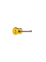 Takamine Takamine GC5 NAT Classical Guitar
