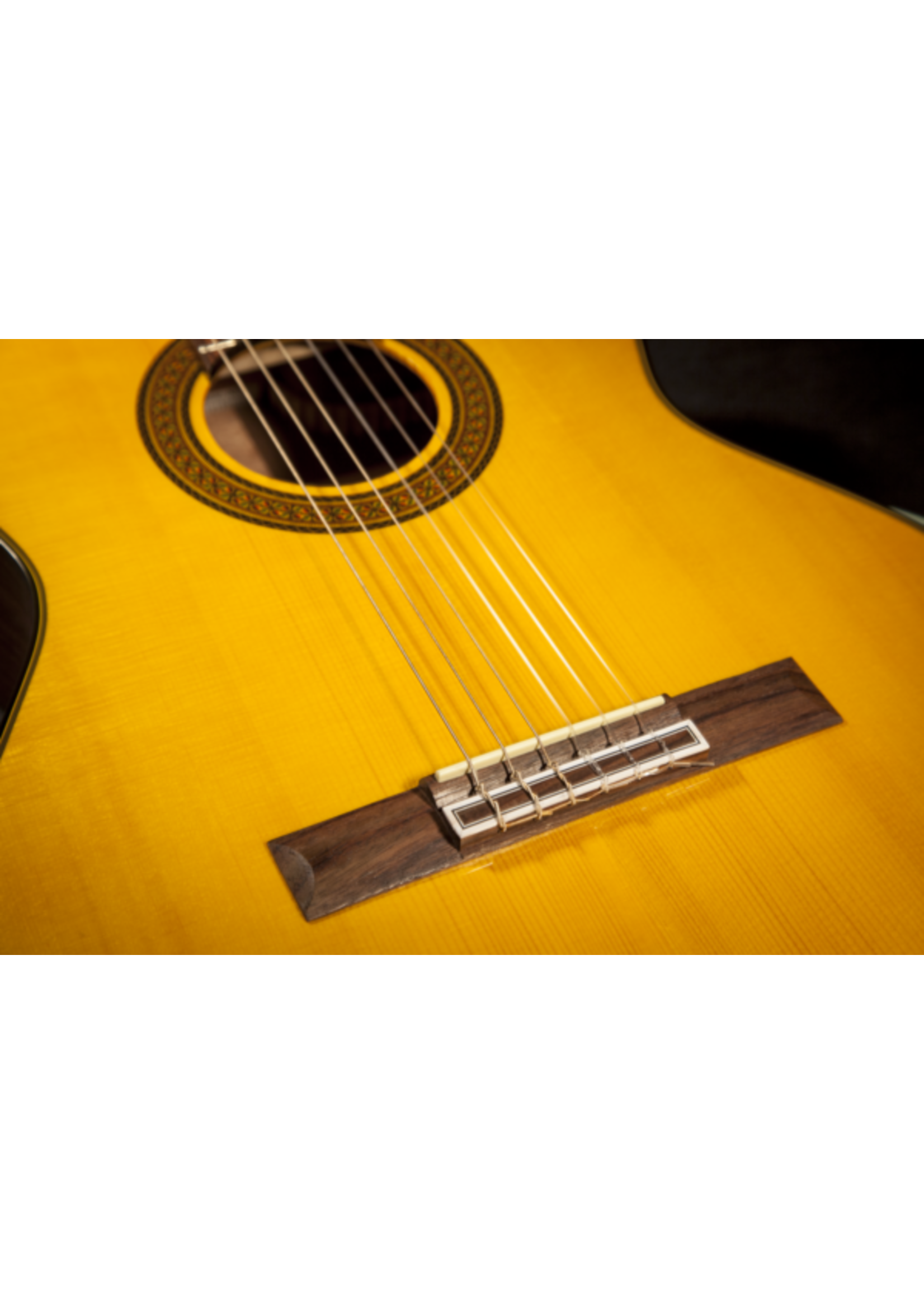 Takamine Takamine GC5 NAT Classical Guitar