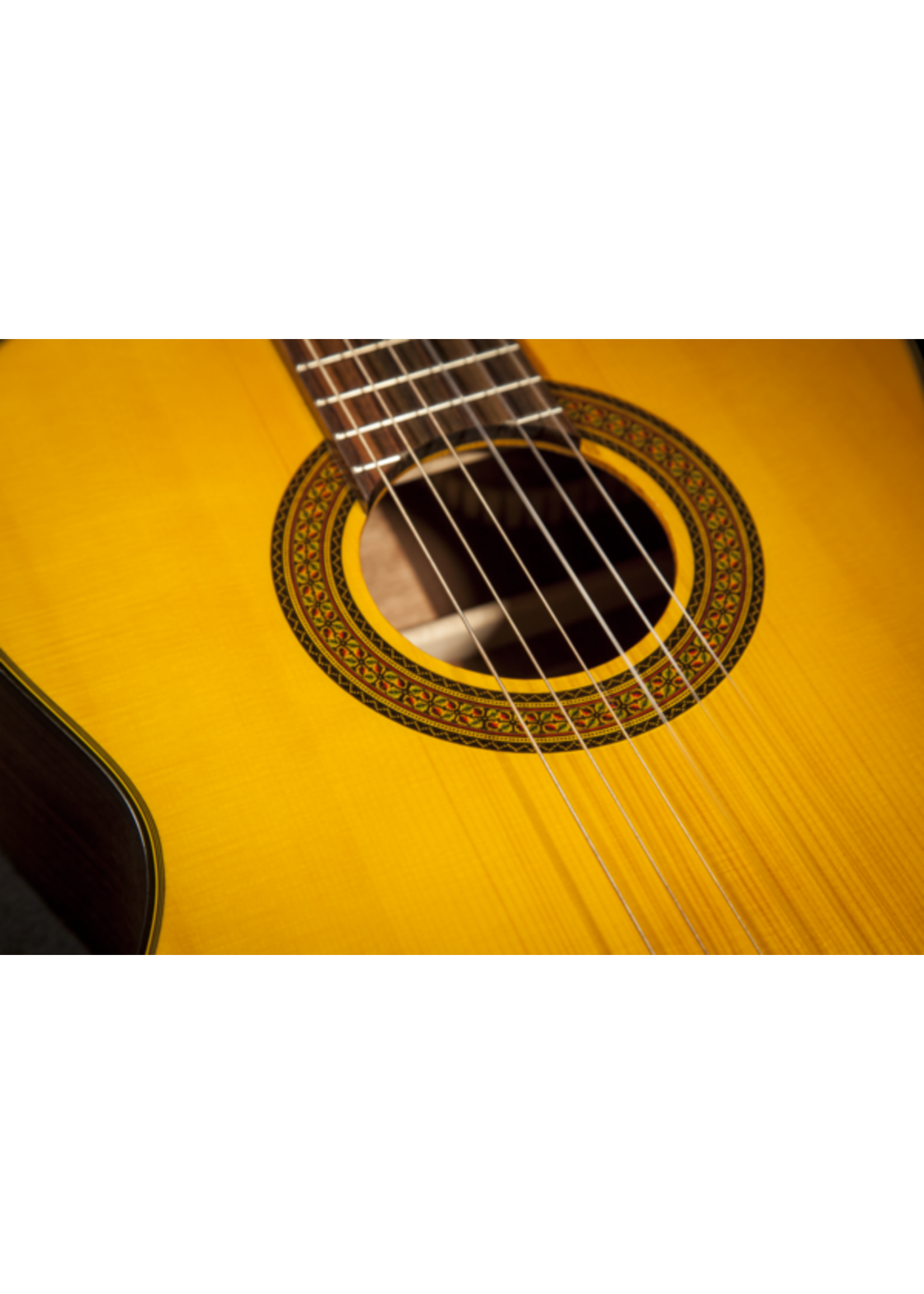 Takamine Takamine GC5 NAT Classical Guitar